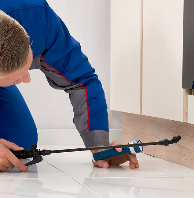Why Kuna Residents Choose Kuna Pest Control Pro to Get Rid of Sugar Ants?