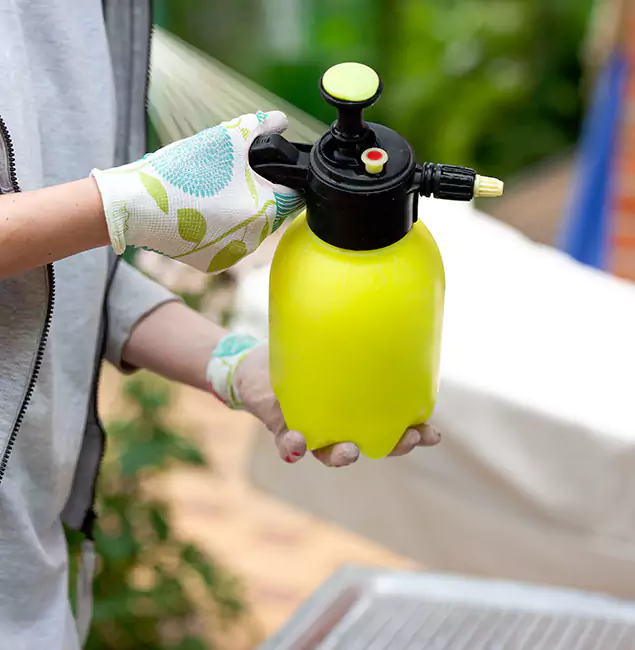 Why Choose Us: Kuna Pest Control Pro Termite Spraying Experts in Kuna, ID?