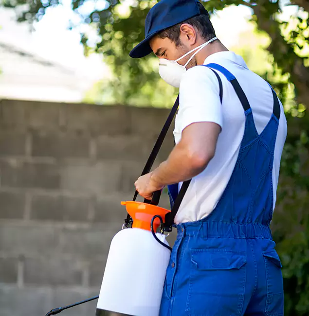 Why Kuna Pest Control Pro Is the Right Choice for Yellow Jacket Removal in Kuna, ID?