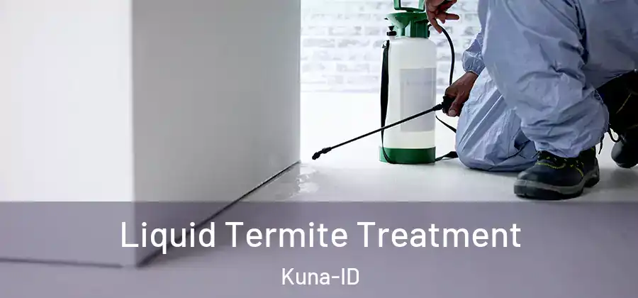 Liquid Termite Treatment Kuna-ID