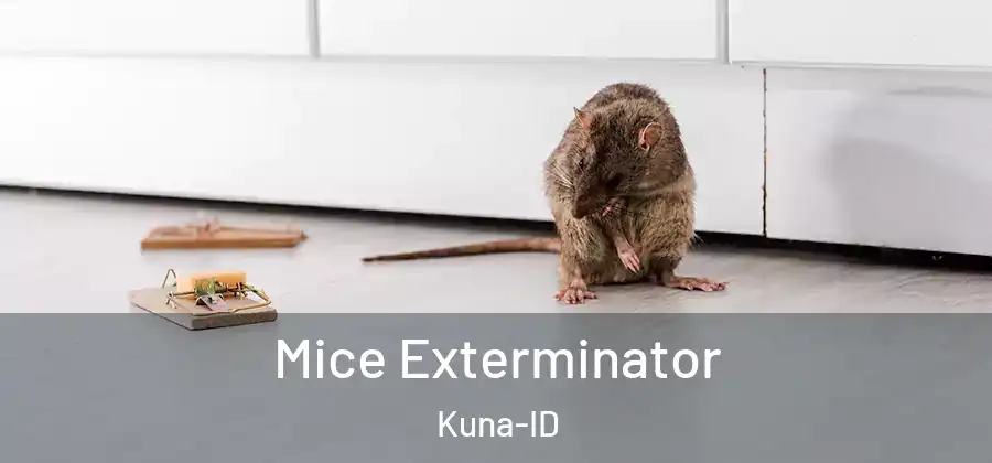  Mice Exterminator Kuna-ID
