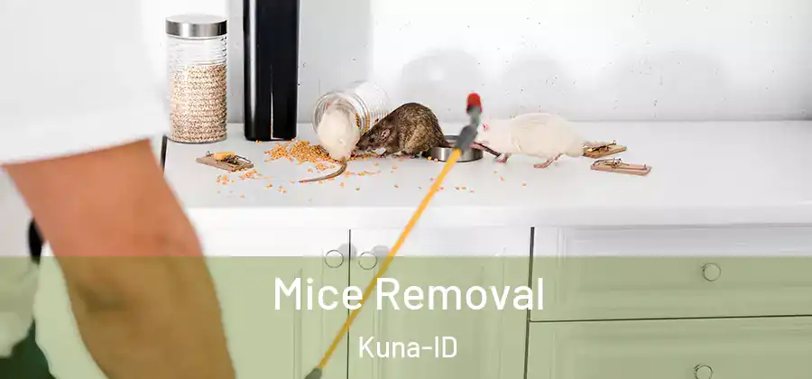 Mice Removal Kuna-ID