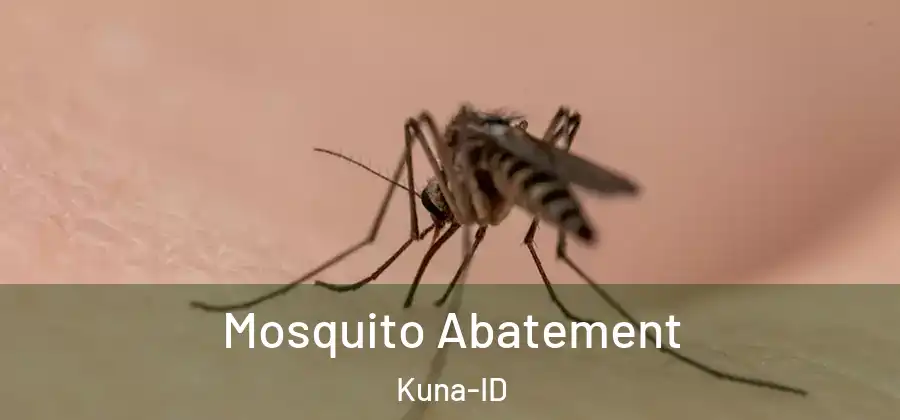 Mosquito Abatement Kuna-ID