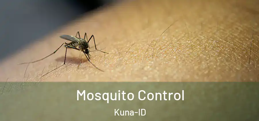 Mosquito Control Kuna-ID