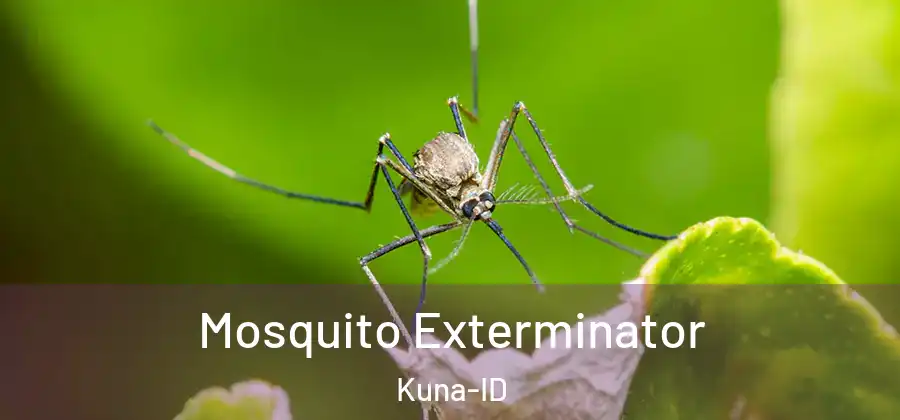 Mosquito Exterminator Kuna-ID