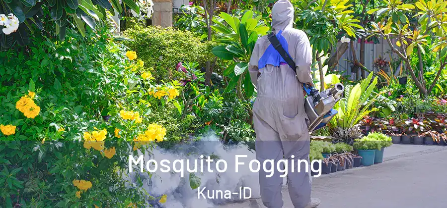 Mosquito Fogging Kuna-ID
