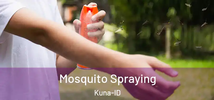 Mosquito Spraying Kuna-ID