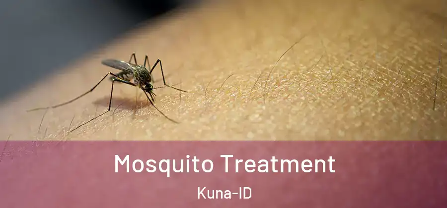 Mosquito Treatment Kuna-ID