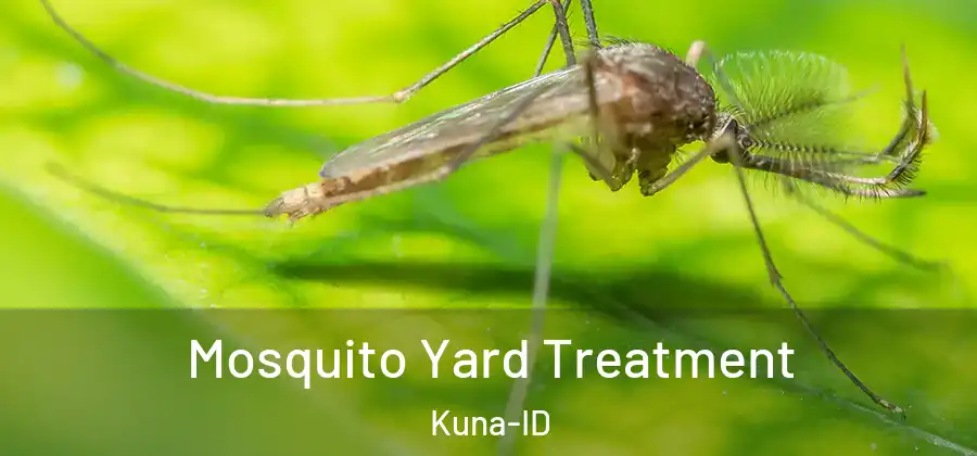  Mosquito Yard Treatment Kuna-ID