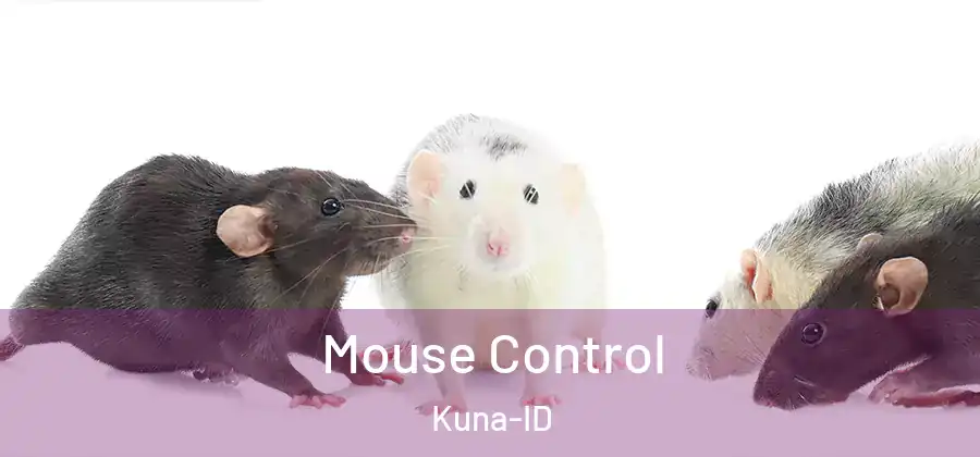 Mouse Control Kuna-ID