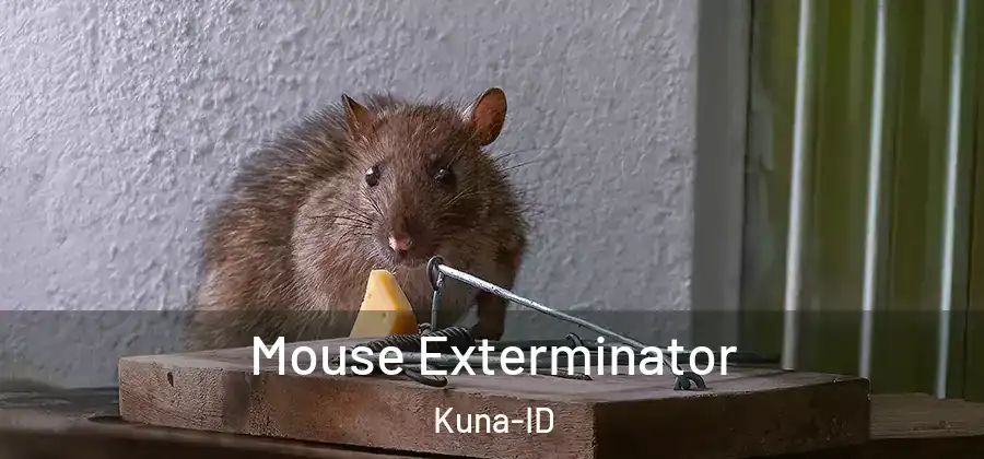 Mouse Exterminator Kuna-ID