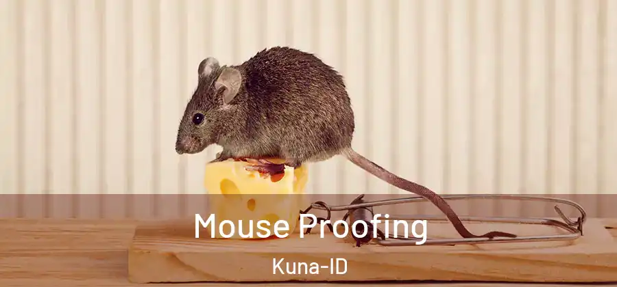 Mouse Proofing Kuna-ID