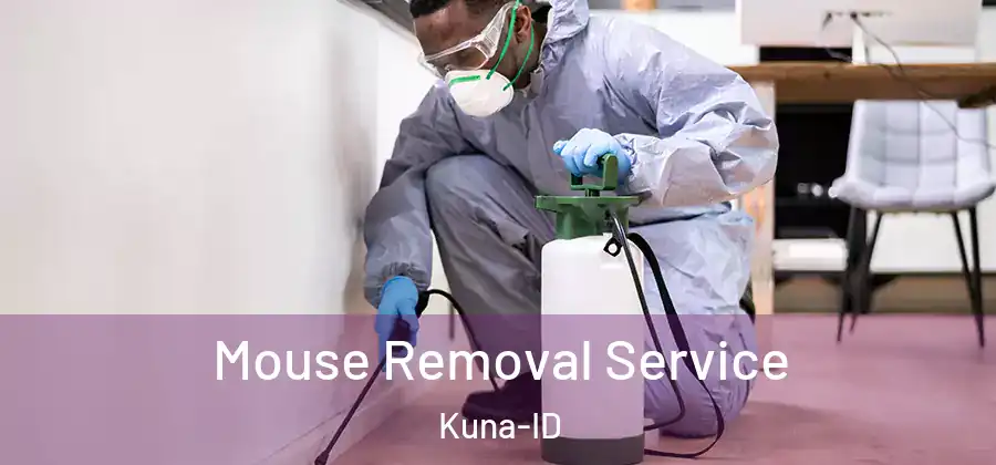 Mouse Removal Service Kuna-ID