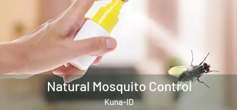 Natural Mosquito Control Kuna-ID