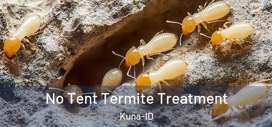  No Tent Termite Treatment Kuna-ID