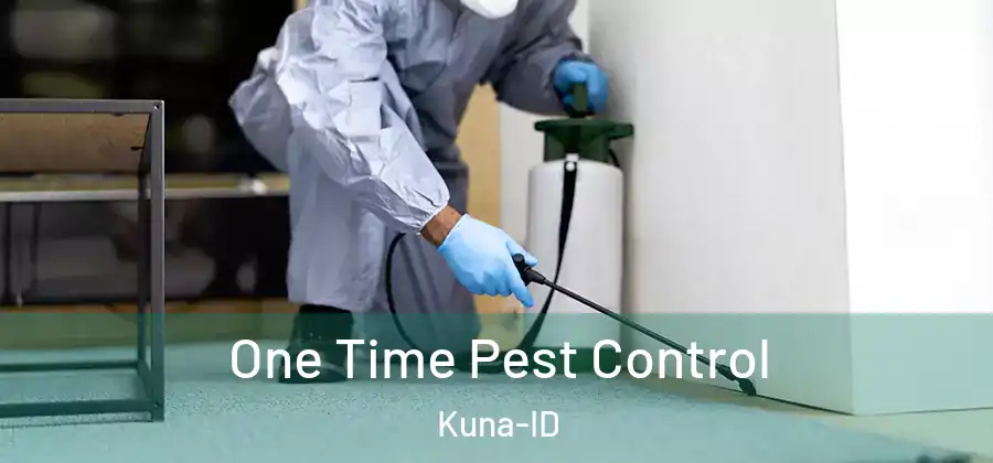 One Time Pest Control Kuna-ID