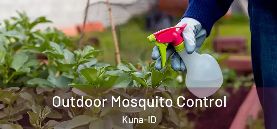 Outdoor Mosquito Control Kuna-ID