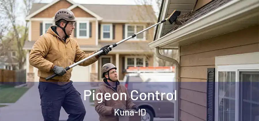 Pigeon Control Kuna-ID