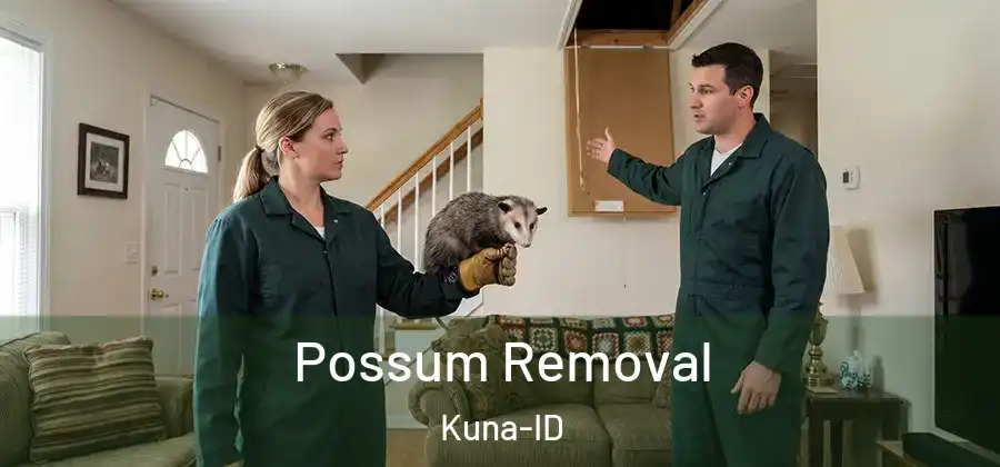 Possum Removal Kuna-ID