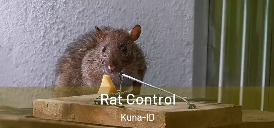 Rat Control Kuna-ID