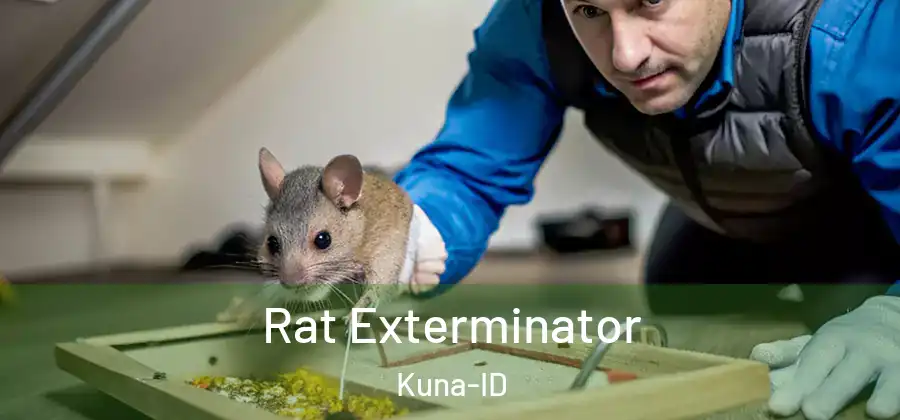 Rat Exterminator Kuna-ID