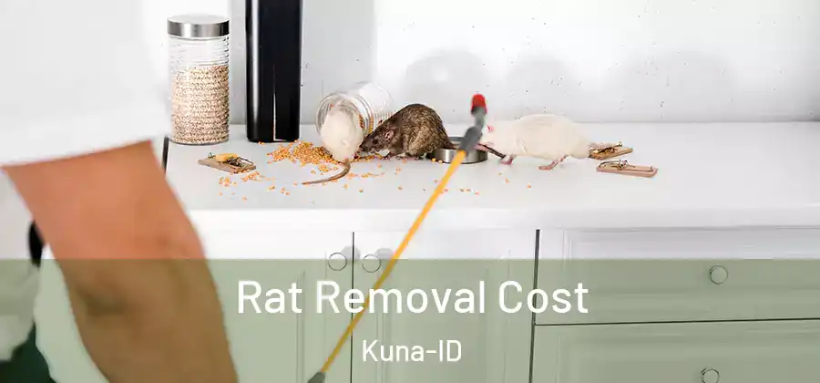 Rat Removal Cost Kuna-ID