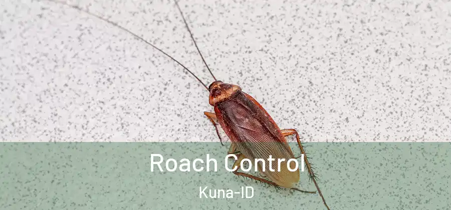 Roach Control Kuna-ID