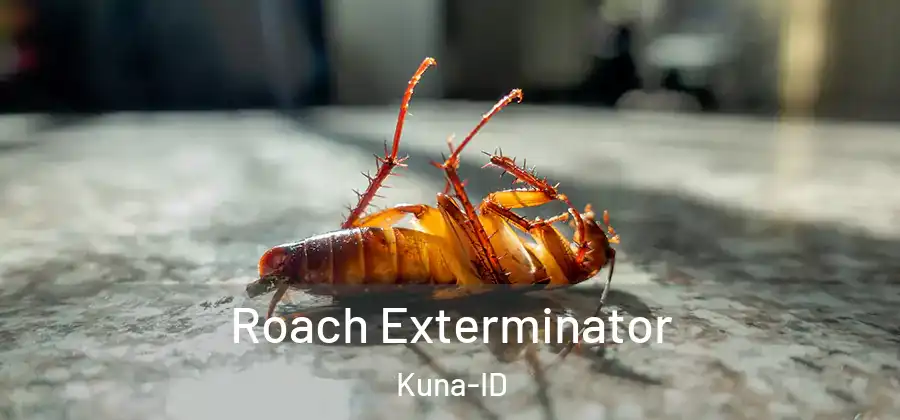 Roach Exterminator Kuna-ID