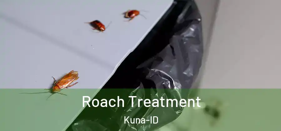 Roach Treatment Kuna-ID