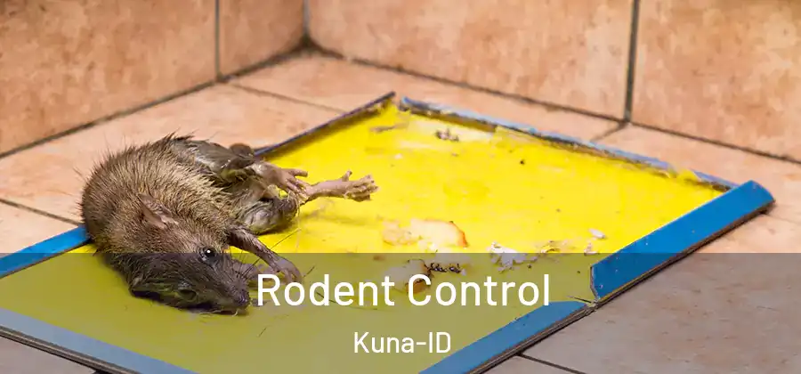 Rodent Control Kuna-ID