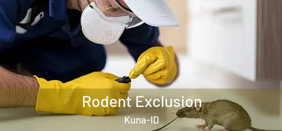 Rodent Exclusion Kuna-ID