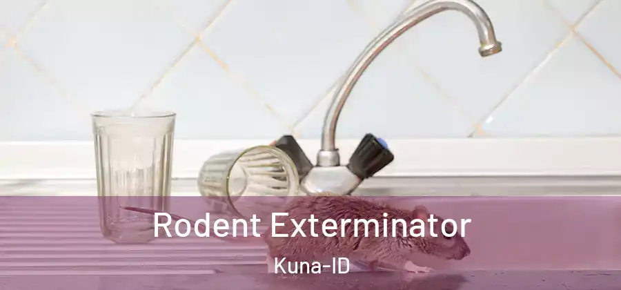 Rodent Exterminator Kuna-ID