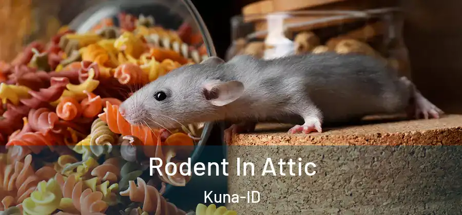 Rodent In Attic Kuna-ID