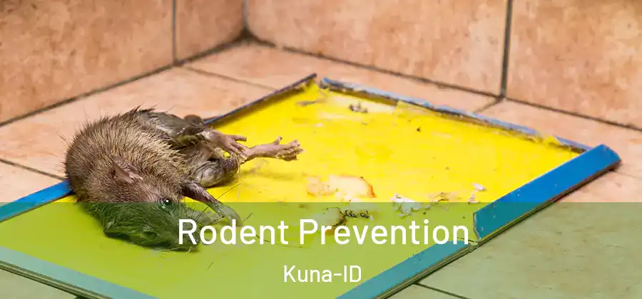 Rodent Prevention Kuna-ID