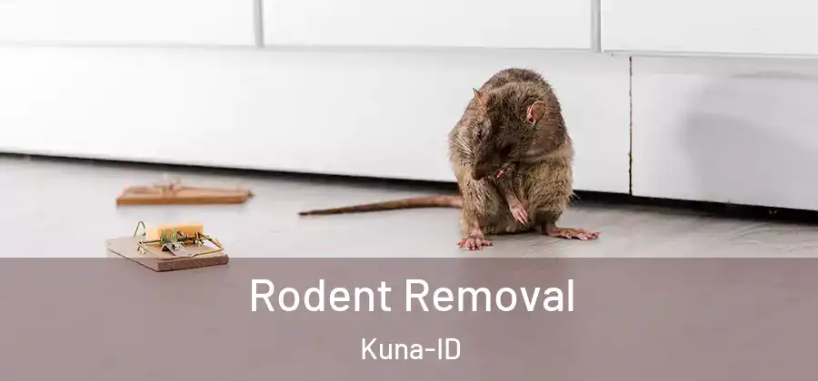 Rodent Removal Kuna-ID