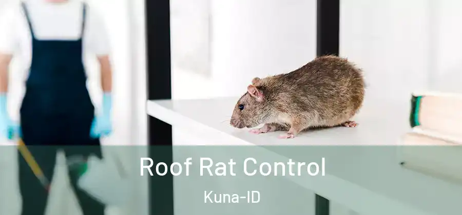 Roof Rat Control Kuna-ID