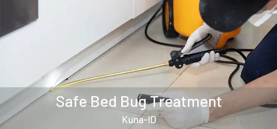 Safe Bed Bug Treatment Kuna-ID
