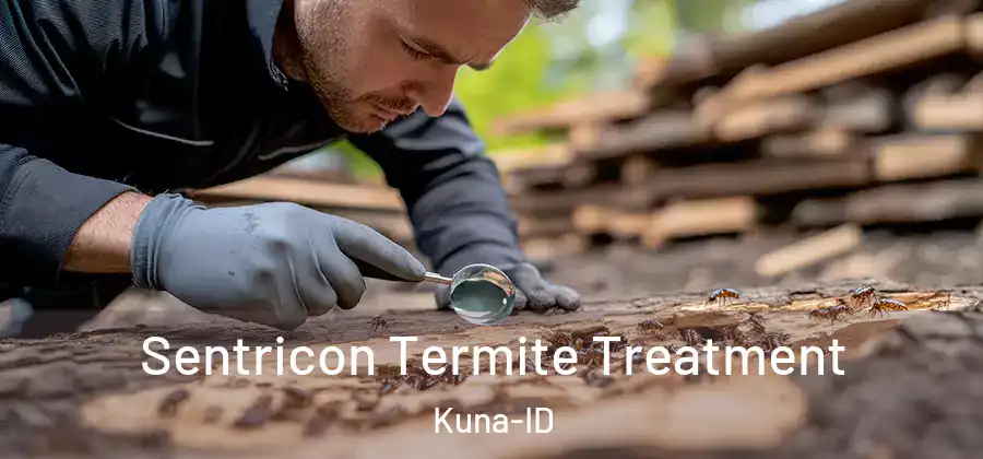  Sentricon Termite Treatment Kuna-ID