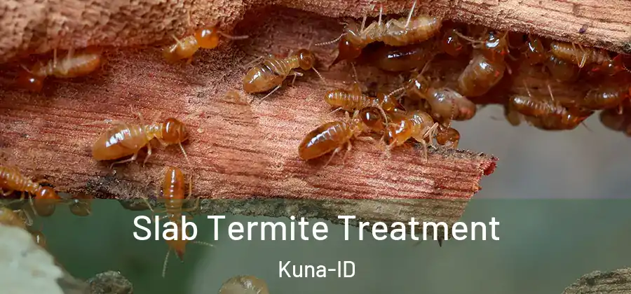 Slab Termite Treatment Kuna-ID