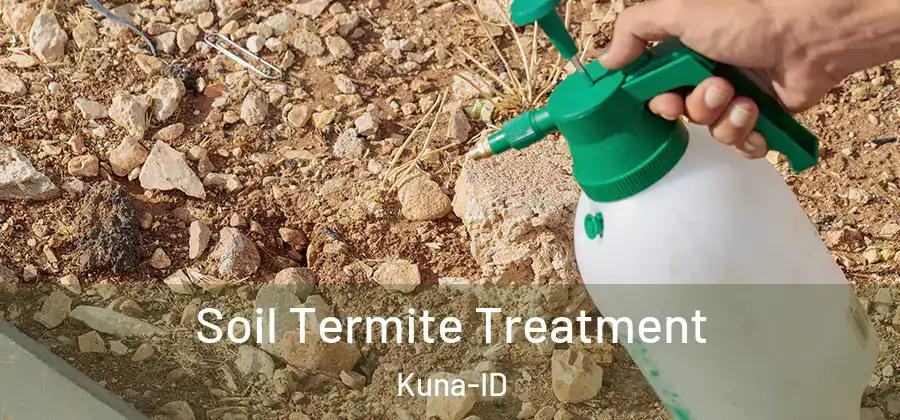 Soil Termite Treatment Kuna-ID