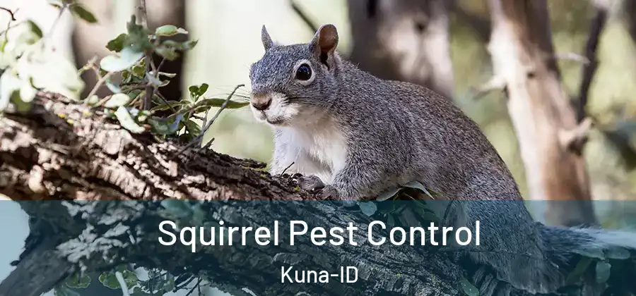 Squirrel Pest Control Kuna-ID