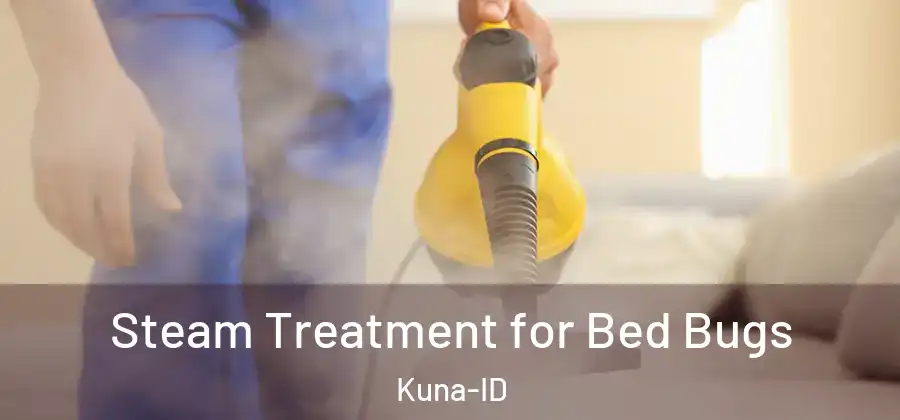  Steam Treatment for Bed Bugs Kuna-ID
