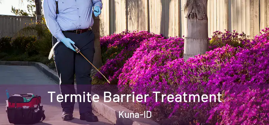 Termite Barrier Treatment Kuna-ID