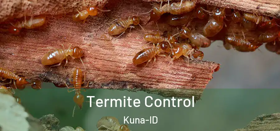 Termite Control Kuna-ID