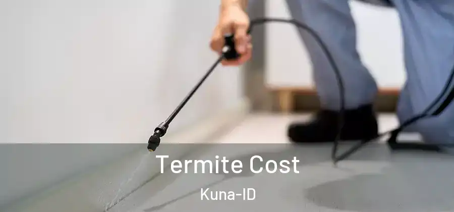Termite Cost Kuna-ID