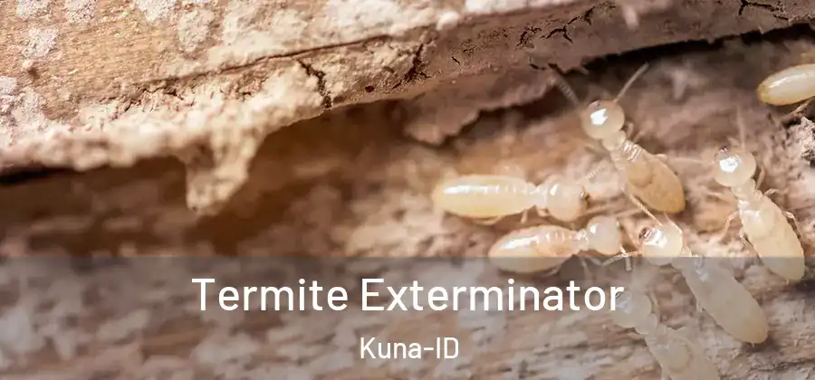 Termite Exterminator Kuna-ID