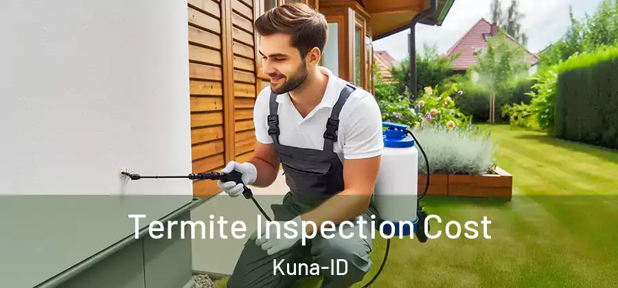 Termite Inspection Cost Kuna-ID