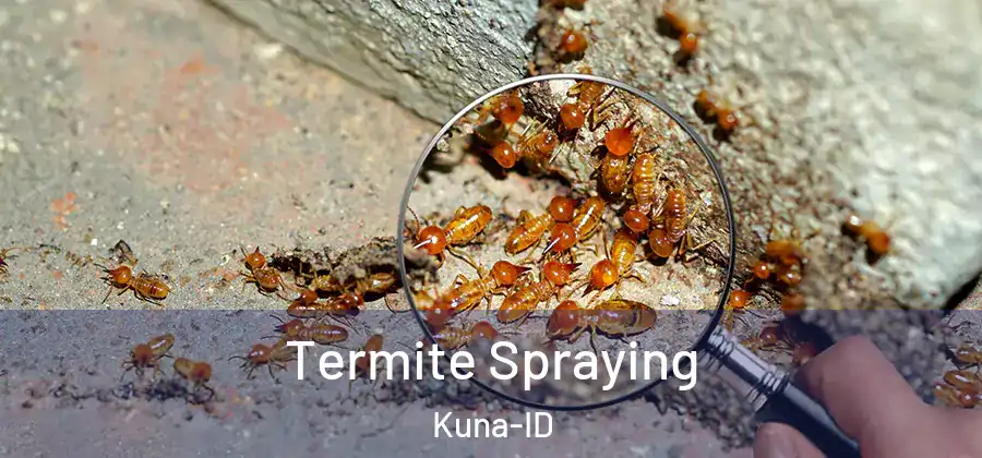 Termite Spraying Kuna-ID