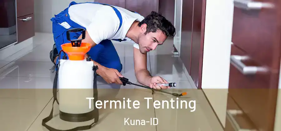 Termite Tenting Kuna-ID