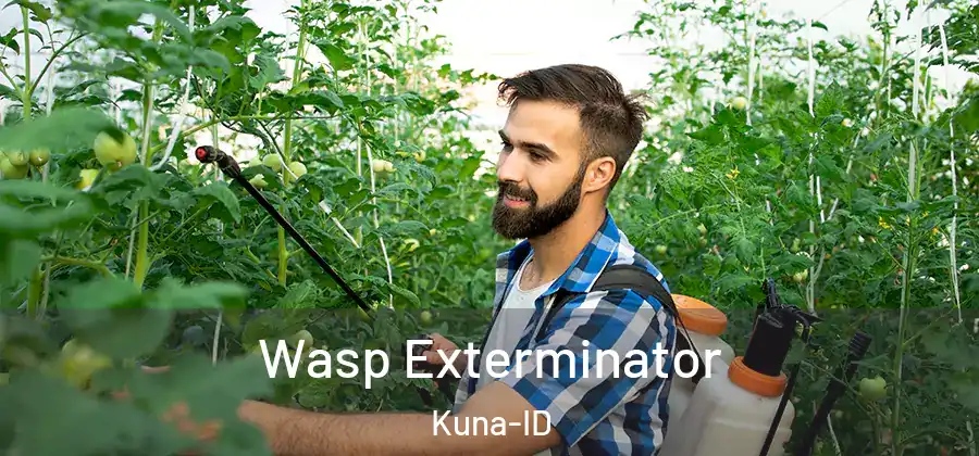  Wasp Exterminator Kuna-ID